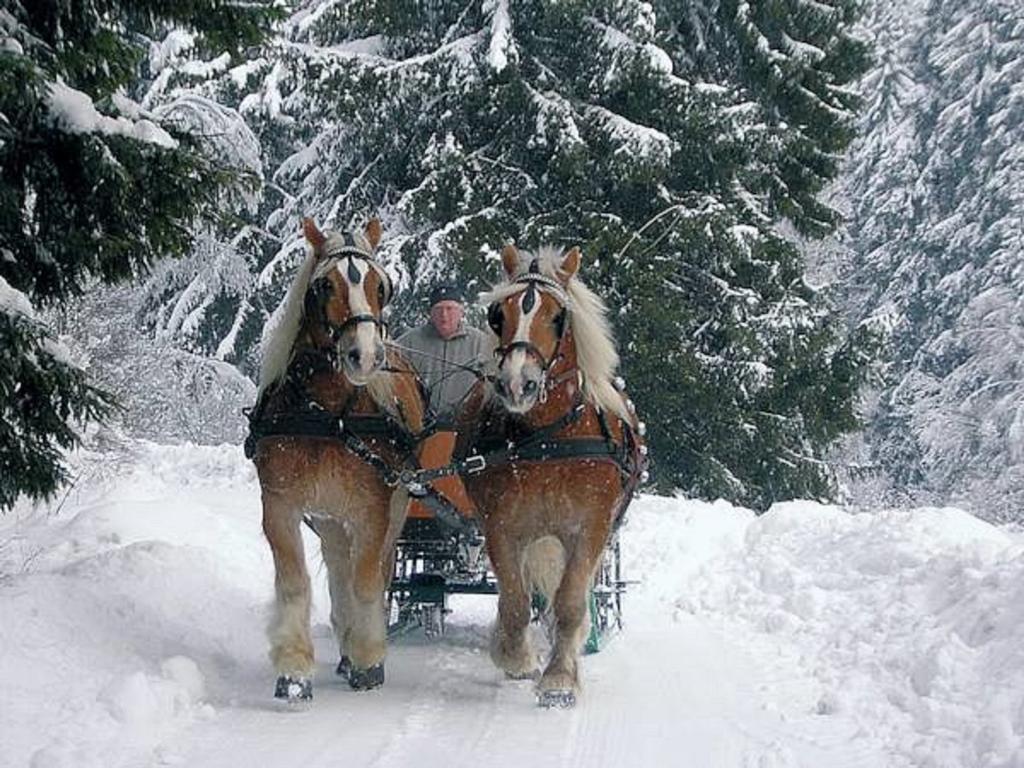 Ginsberger Heide Otel Hilchenbach Dış mekan fotoğraf